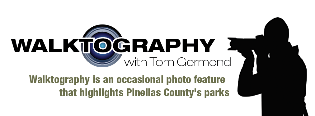 Walktography sig